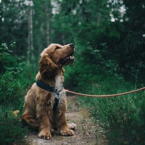 Meet your Posher, Scott